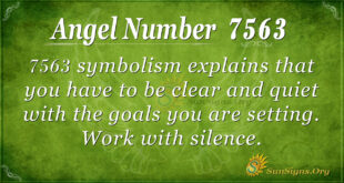 7563 angel number
