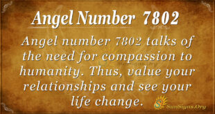 7802 angel number