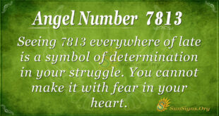 7813 angel number