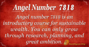 7818 angel number