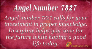 7827 angel number