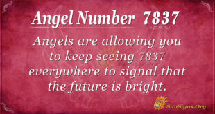 7837 angel number