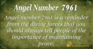 7961 angel number