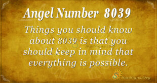 8039 angel number