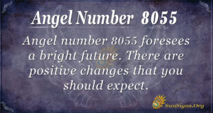 8055 angel number