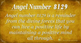 8129 angel number
