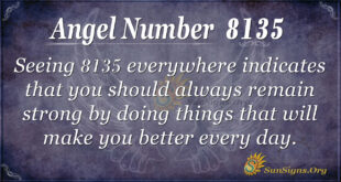 8135 angel number