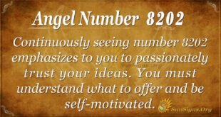 8202 angel number
