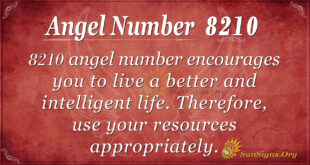 8210 angel number