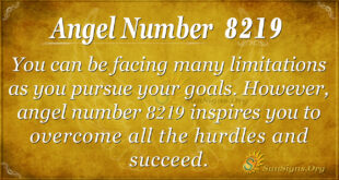 8219 angel number