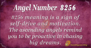 8256 angel number
