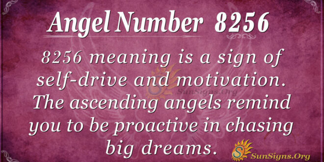 8256 angel number