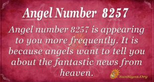 8257 angel number