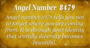 8479 angel number