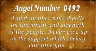 8492 angel number