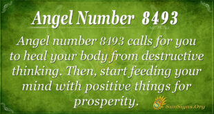 8493 angel number