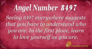 8497 angel number