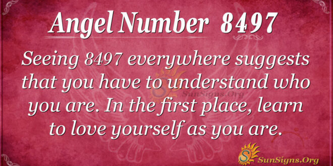 8497 angel number