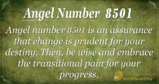 8501 angel number
