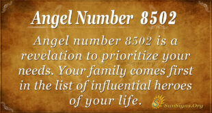 8502 angel number