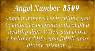 8509 angel number