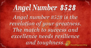 8528 angel number