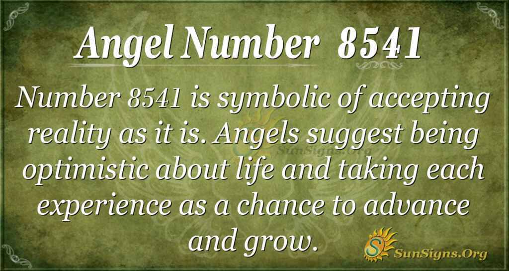 8541 angel number