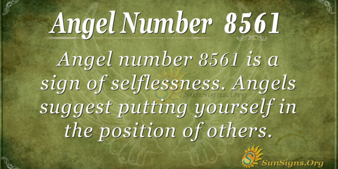 8561 angel number