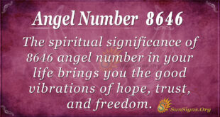 8646 angel number