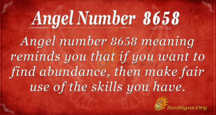 8658 angel number
