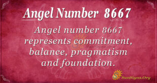8667 angel number