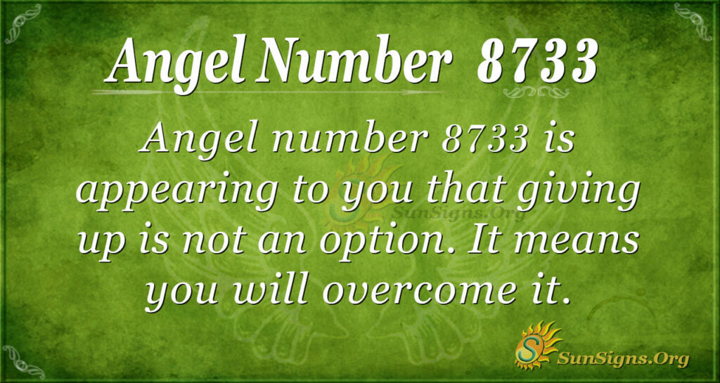 8733 angel number