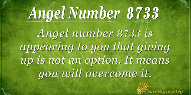 8733 angel number