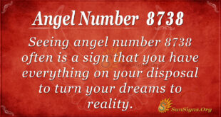 8738 angel number