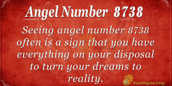 8738 angel number
