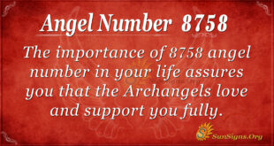 8758 angel number
