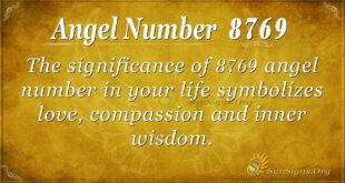 8769 angel number