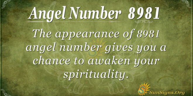 8981 angel number
