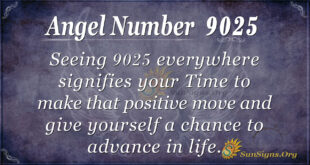 9025 angel number