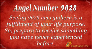 9028 angel number