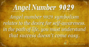 9029 angel number
