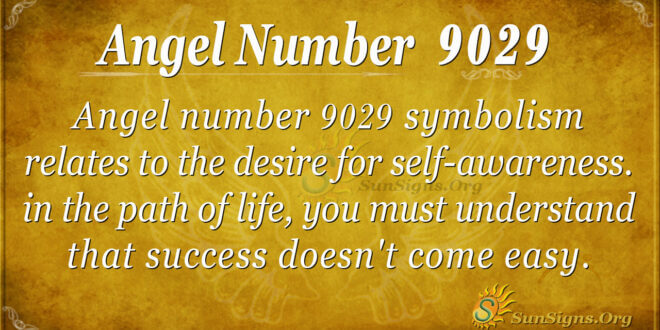 9029 angel number