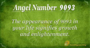 9093 angel number