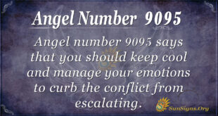 9095 angel number