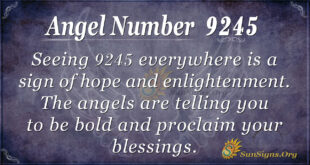 9245 angel number
