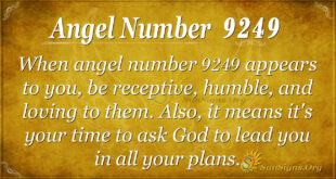 9249 angel number