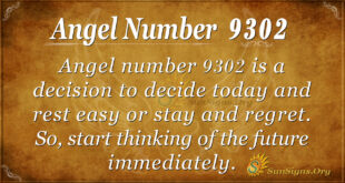 9302 angel number