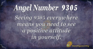 9305 angel number