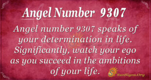 9307 angel number