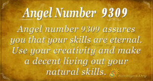 9309 angel number